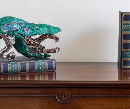 מידע לביקור