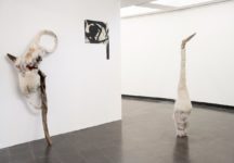 משה רואס, ארכיפלג