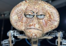 ספארי במוזיאון (צילום: נדב חומסקי)