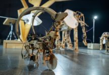 ספארי במוזיאון (צילום: נדב חומסקי)