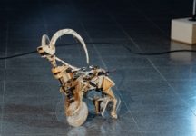 ספארי במוזיאון (צילום: נדב חומסקי)