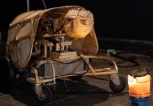 ספארי במוזיאון (צילום: נדב חומסקי)