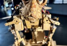 ספארי במוזיאון (צילום: נדב חומסקי)